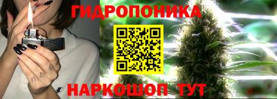 ГАЛЛЮЦИНОГЕННЫЕ ГРИБЫ Пушкино