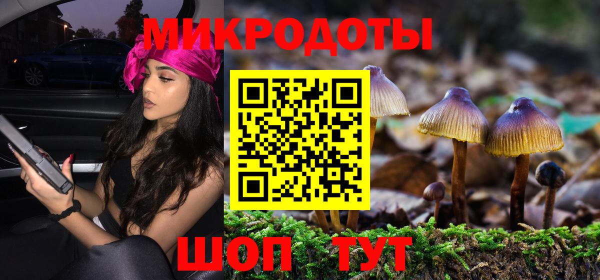 Тосно  Псилоцибиновые грибы прущие грибы  Вход с VPN  Псилоцибиновые грибы Cubensis 