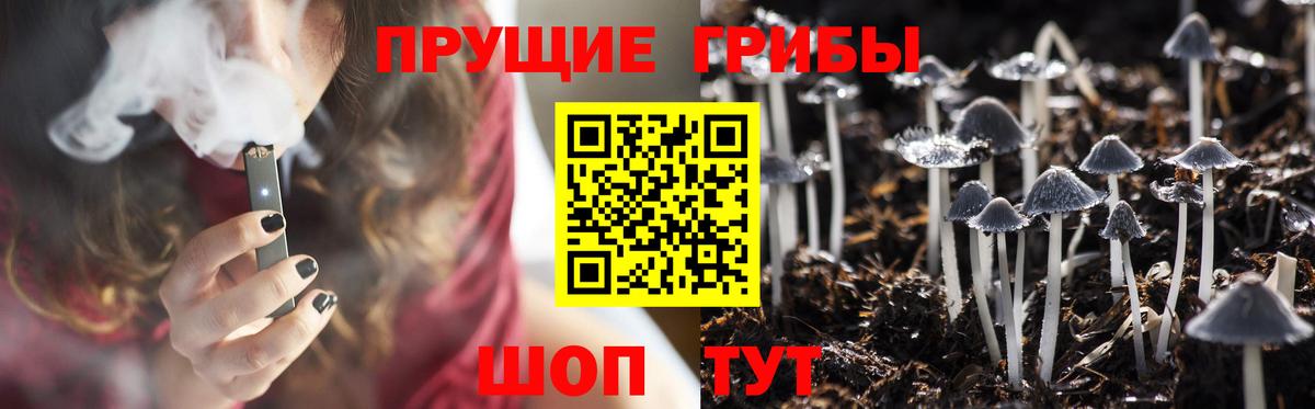 Галлюциногенные грибы мицелий Тосно