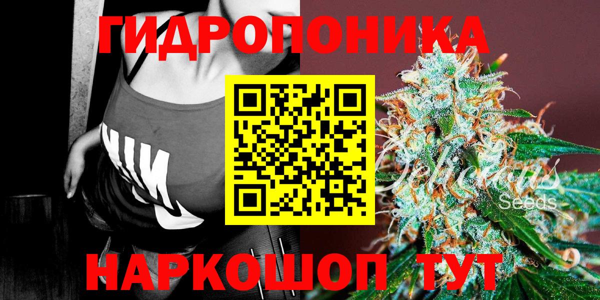 Тосно  Каннабис тримм  Вход с VPN  Марихуана Bruce Banner  Бошки Шишки LSD WEED 